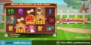 Playing for Real Money Playing for Real Money