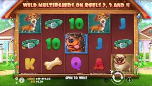 Why Choose The Dog House Why Choose The Dog House