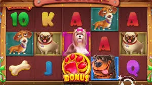 The Dog House Rules The Dog House Rules